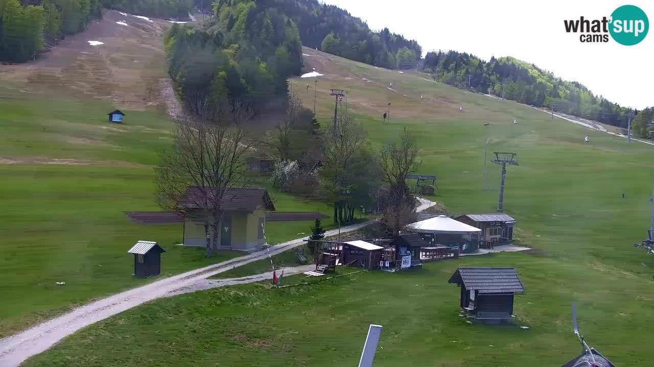Webcam Kranjska Gora SKI resort | Bech, Kekec, Mojca ski