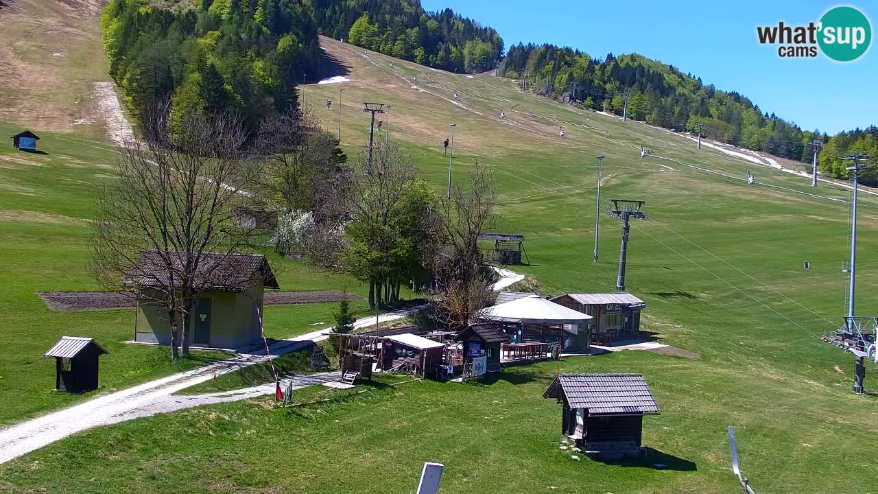 Webcam Kranjska Gora SKI resort | Bech, Kekec, Mojca ski
