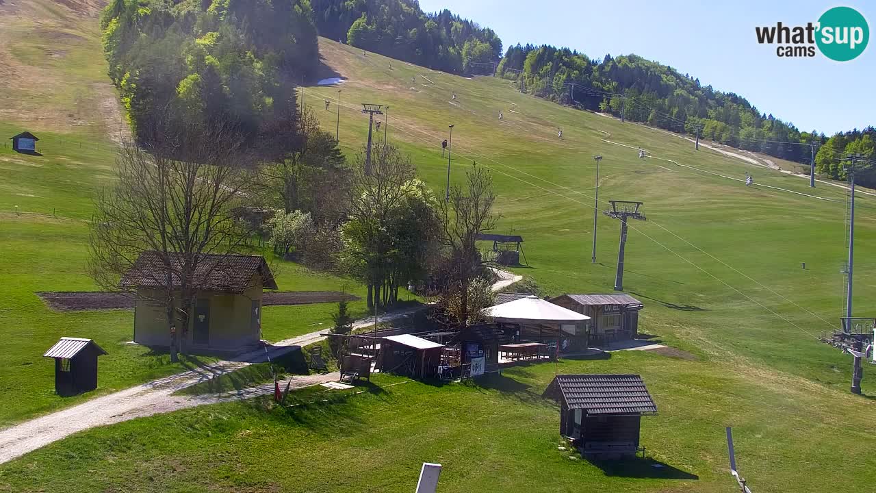 Webcam Kranjska Gora SKI resort | Bech, Kekec, Mojca ski