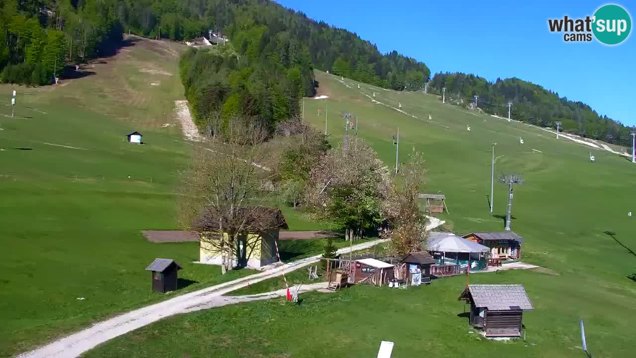 Webcam Skigebiet Kranjska Gora – Slowenien