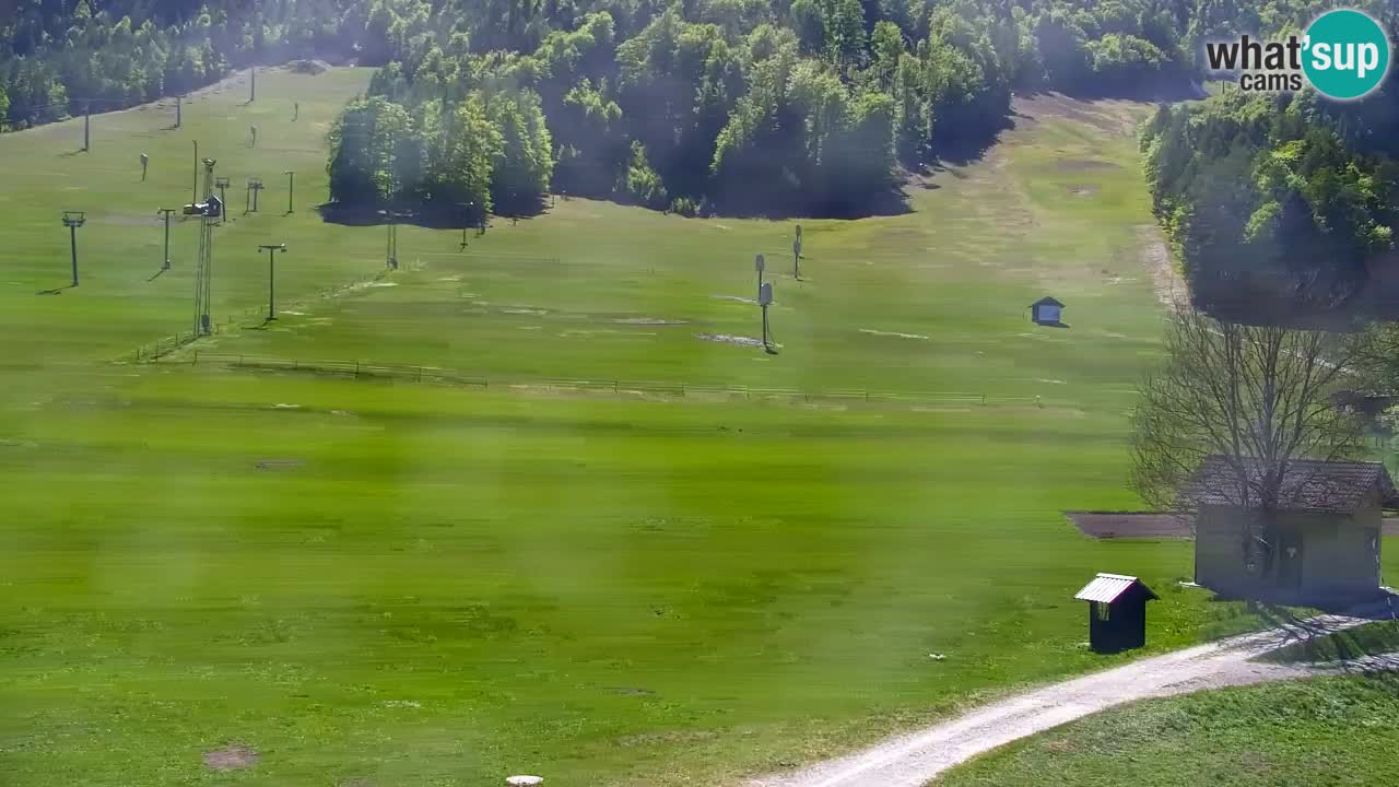 Web kamera Kranjska Gora Skijalište | Proge Mojca in Kekec