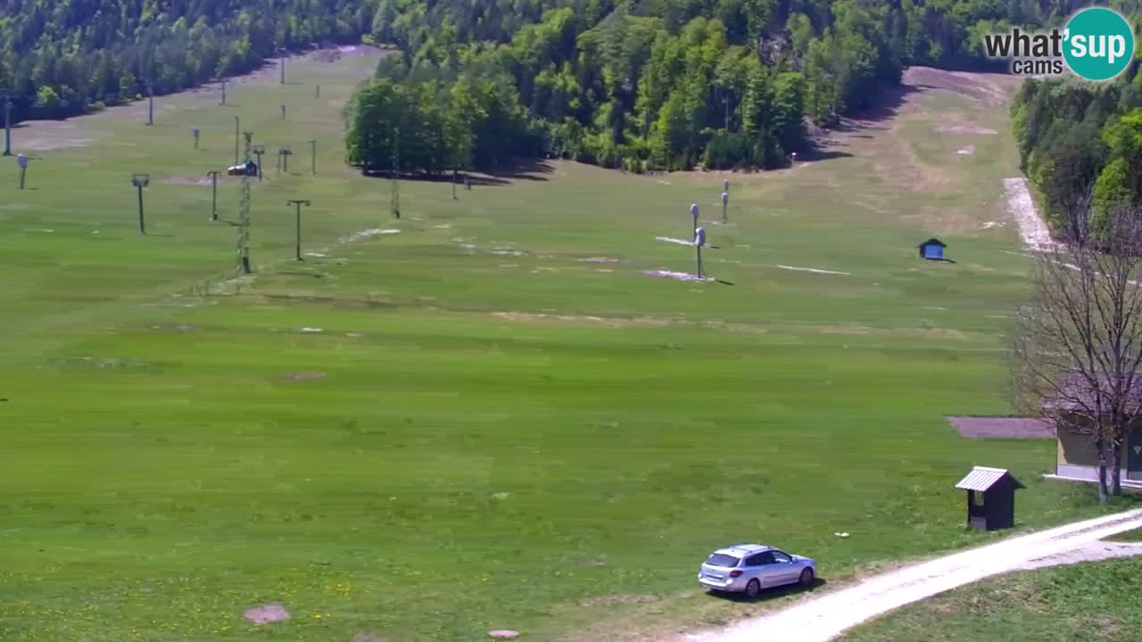 Webcam Kranjska Gora SKI resort | Bech, Kekec, Mojca ski
