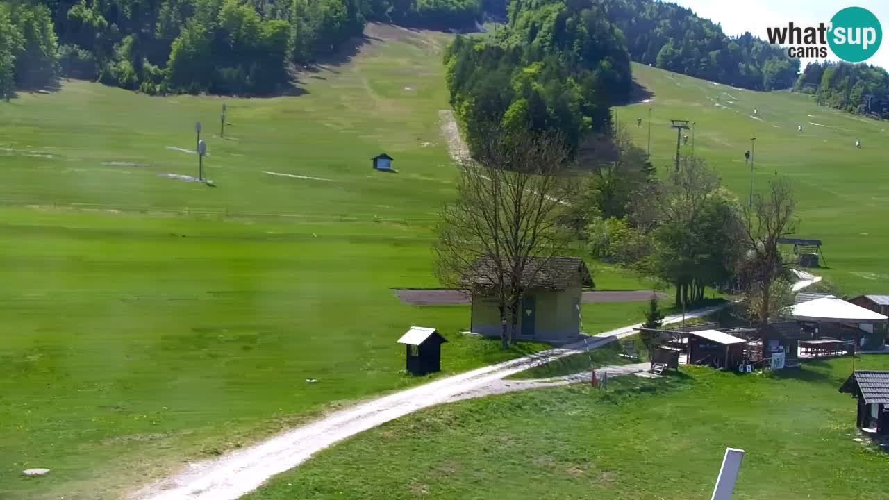 Webcam Kranjska Gora SKI resort | Bech, Kekec, Mojca ski