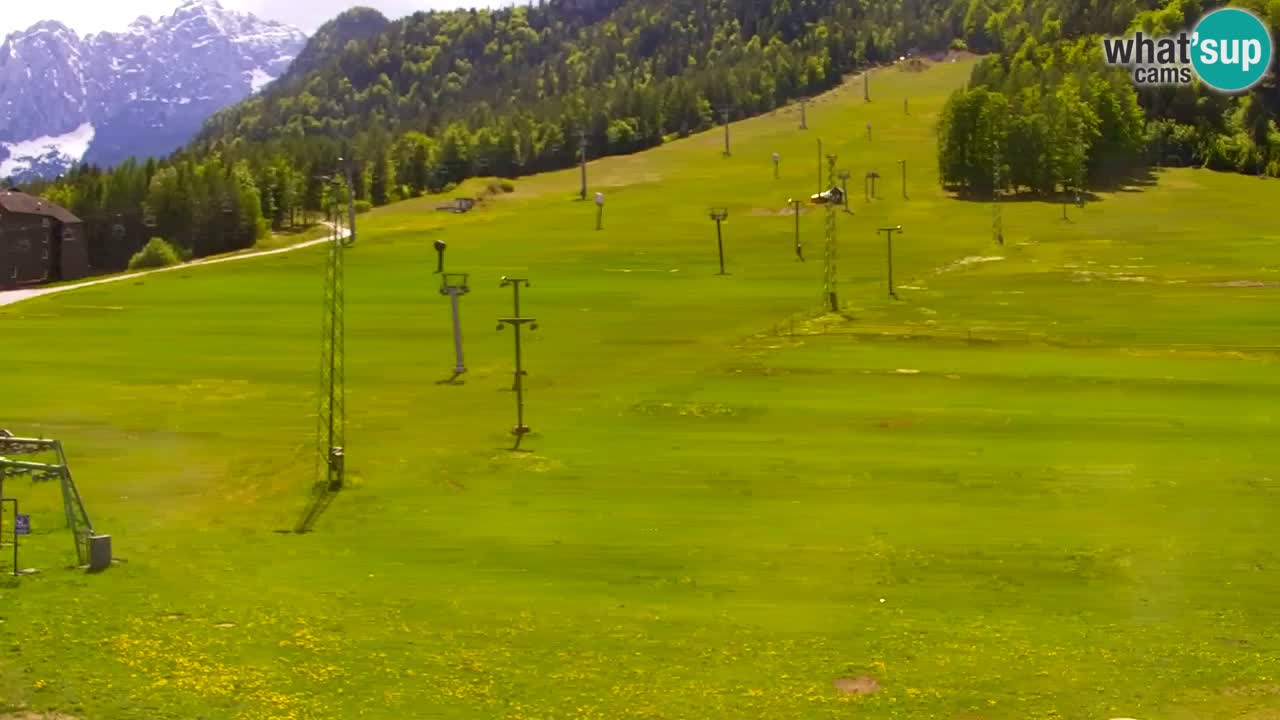 Webcam Kranjska Gora SKI resort | Bech, Kekec, Mojca ski