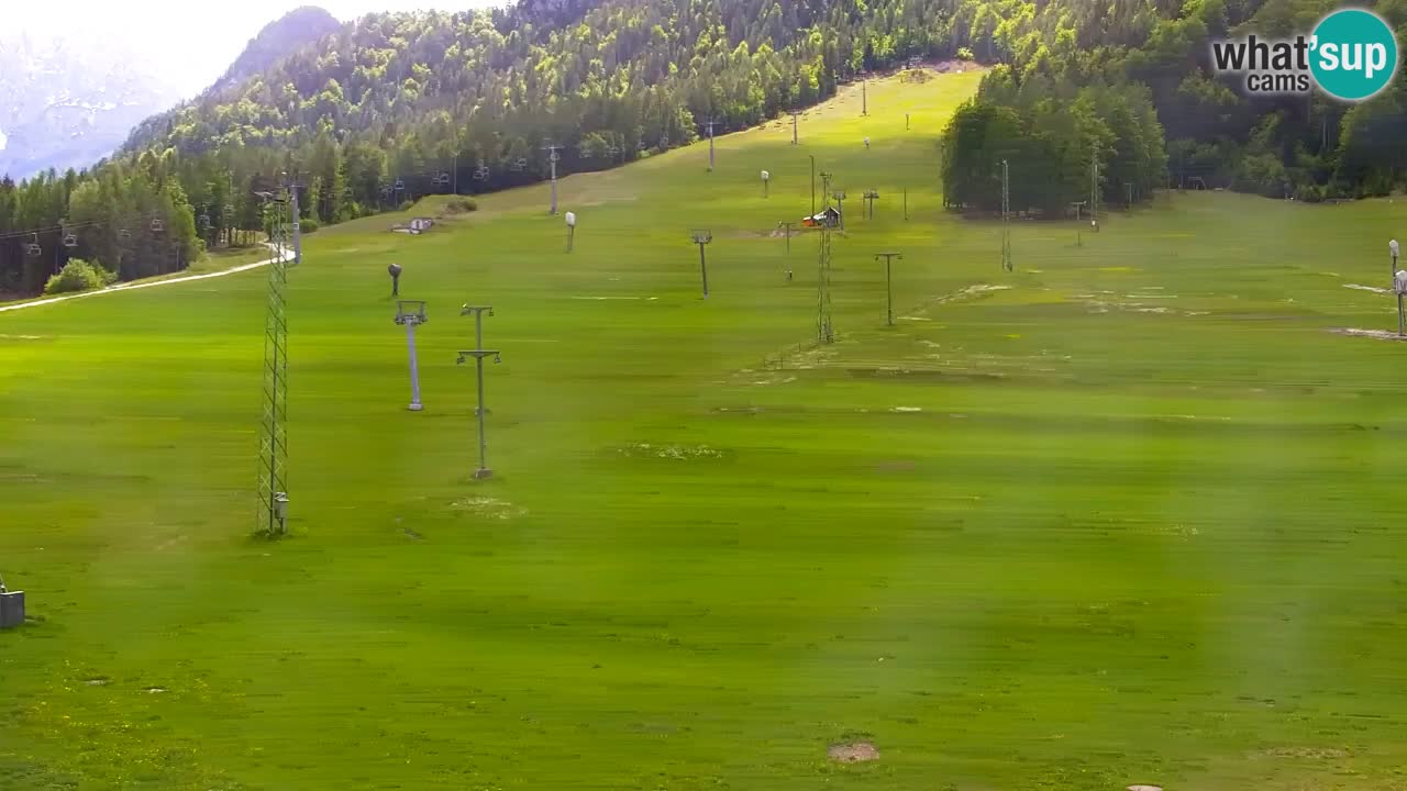 Webcam Kranjska Gora SKI resort | Bech, Kekec, Mojca ski