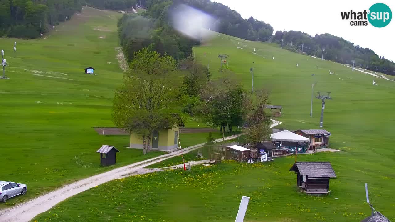 Webcam Kranjska Gora SKI resort | Bech, Kekec, Mojca ski