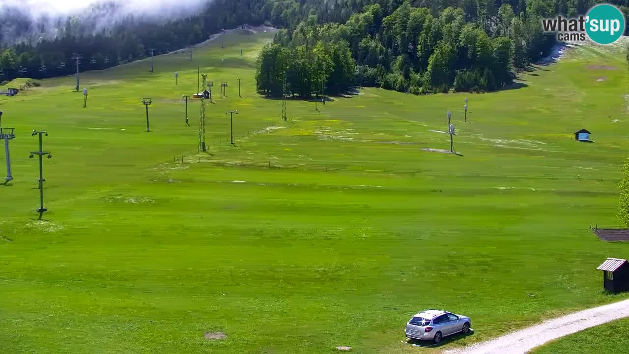 Webcam Kranjska Gora SKI resort | Bech, Kekec, Mojca ski