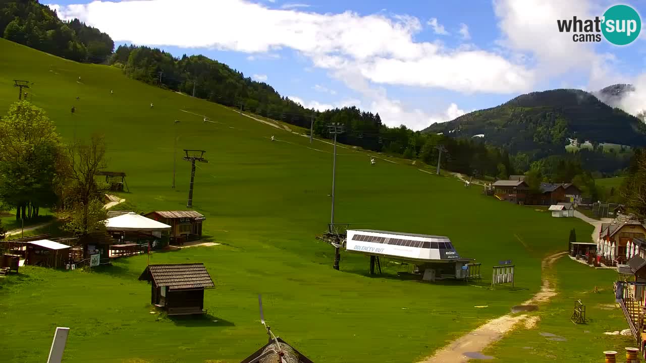 Webcam Estación de esquí Kranjska Gora – Eslovenia