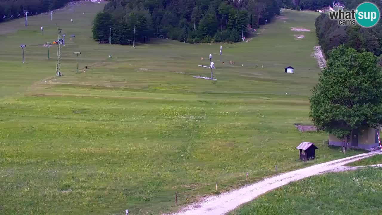 Webcam Kranjska Gora SKI resort | Bech, Kekec, Mojca ski