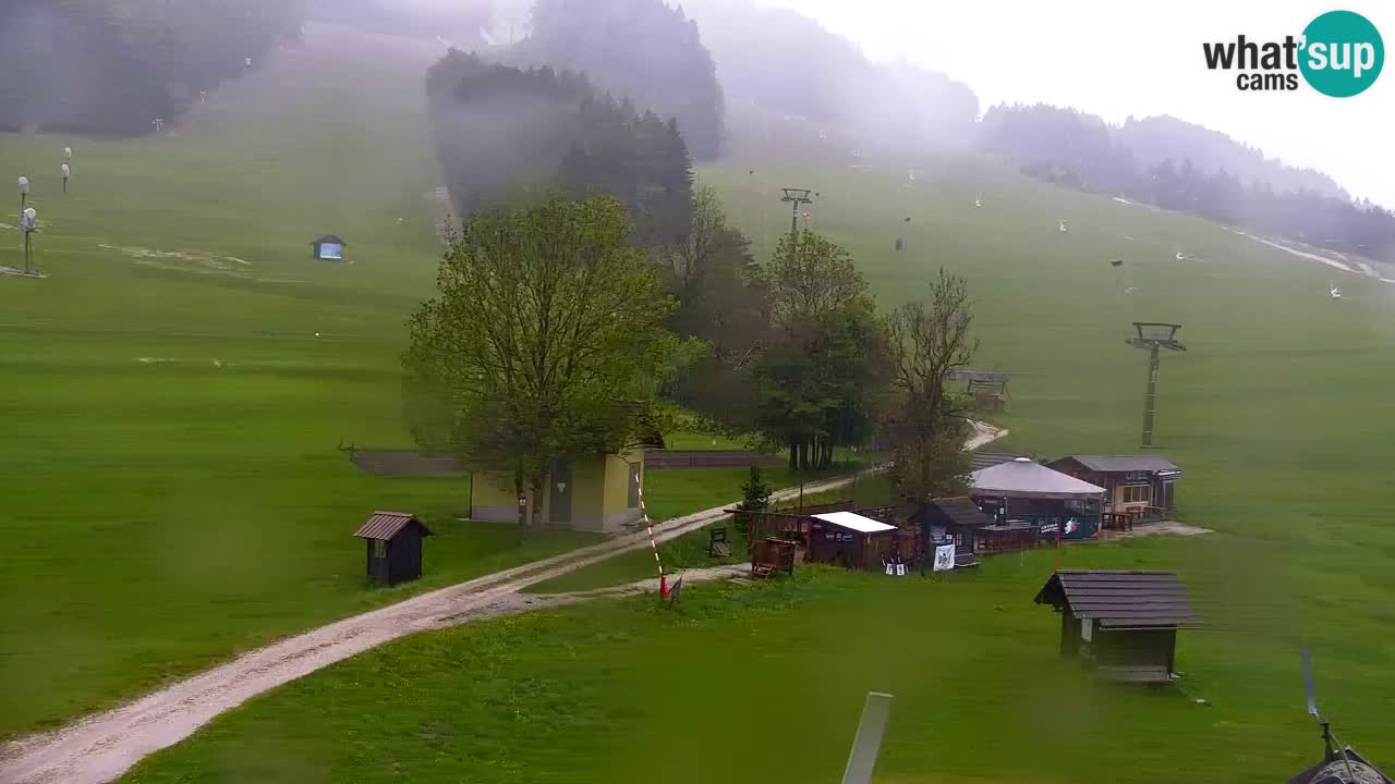 Webcam Kranjska Gora SKI resort | Bech, Kekec, Mojca ski
