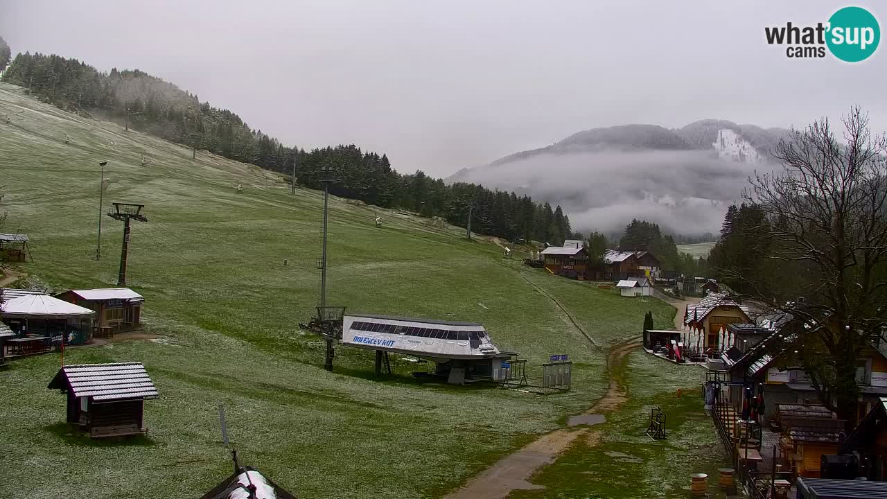 Web kamera Kranjska Gora Skijalište | Proge Mojca in Kekec