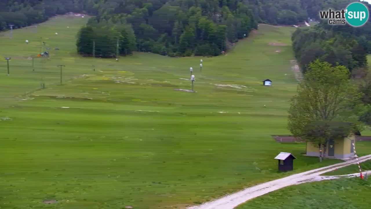 Webcam Kranjska Gora SKI resort | Bech, Kekec, Mojca ski