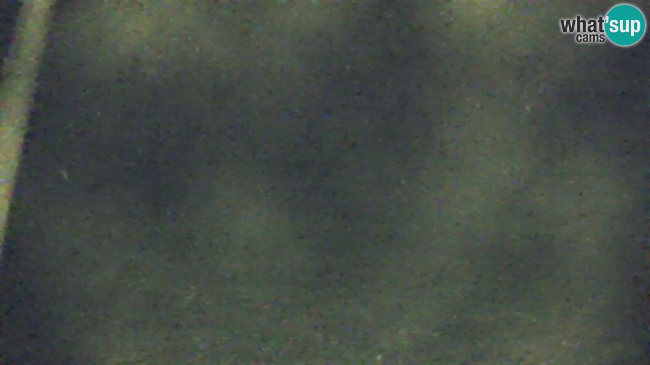 Webcam Kranjska Gora SKI resort | Bech, Kekec, Mojca ski