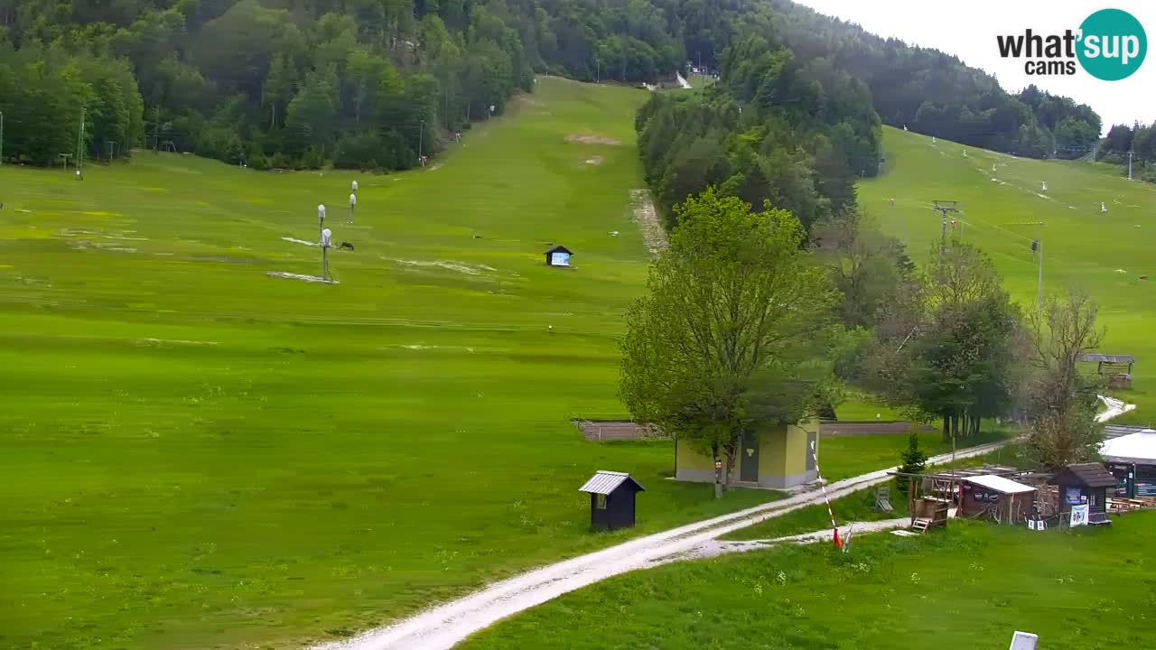 Webcam Station de ski Kranjska Gora – Slovénie