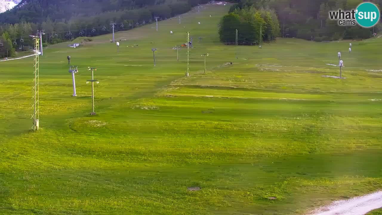Webcam Kranjska Gora SKI resort | Bech, Kekec, Mojca ski