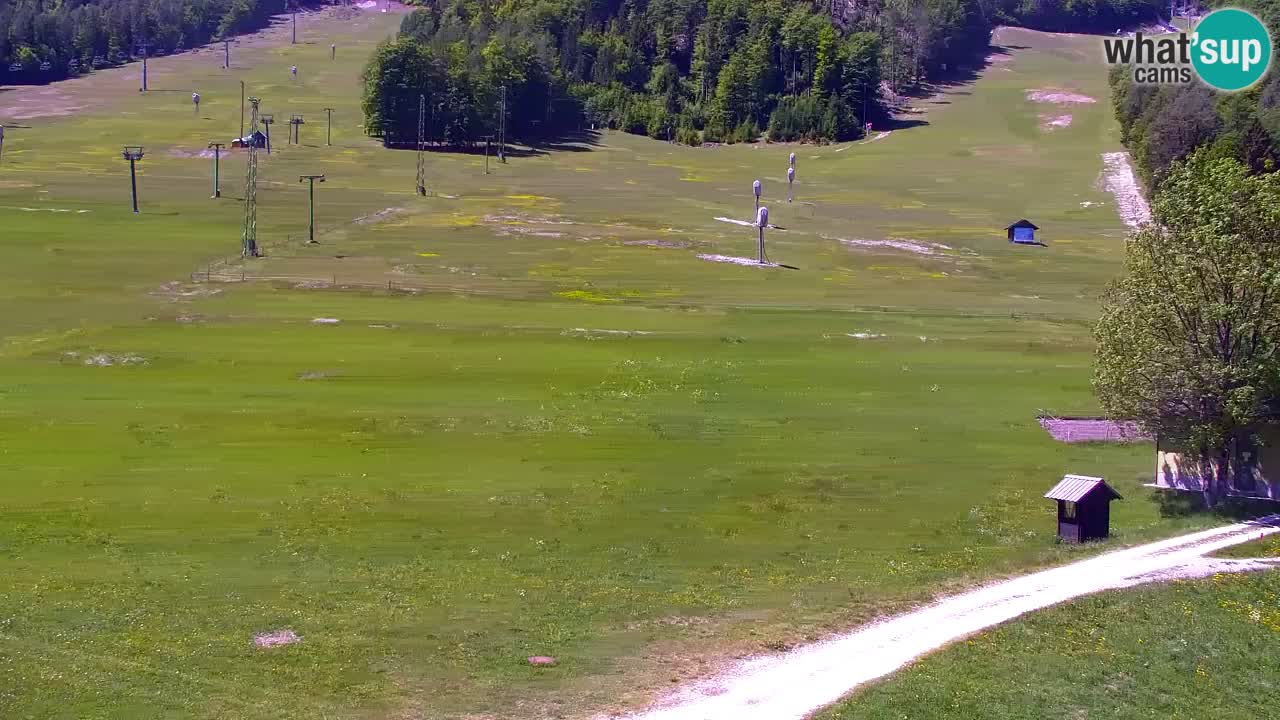 Webcam Station de ski Kranjska Gora – Slovénie