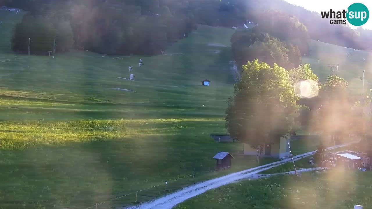 Webcam Kranjska Gora SKI resort | Bech, Kekec, Mojca ski