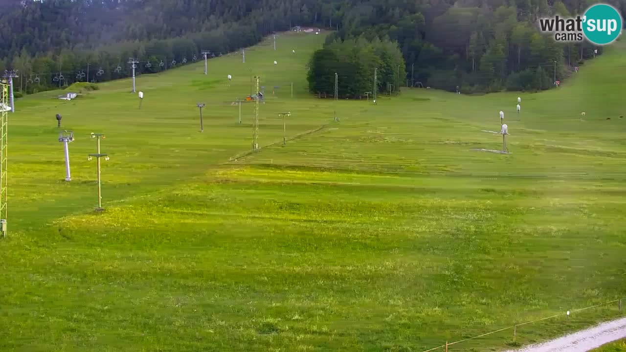 Webcam Kranjska Gora SKI resort | Bech, Kekec, Mojca ski