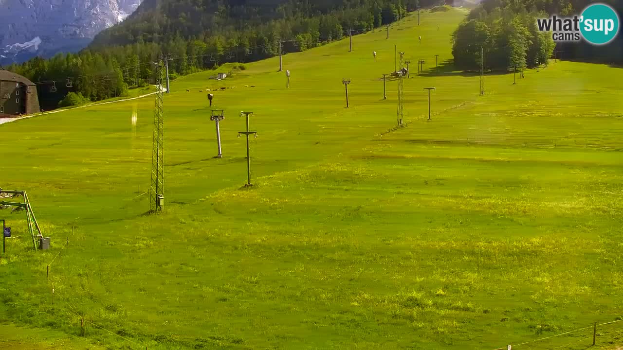 Webcam Kranjska Gora SKI resort | Bech, Kekec, Mojca ski