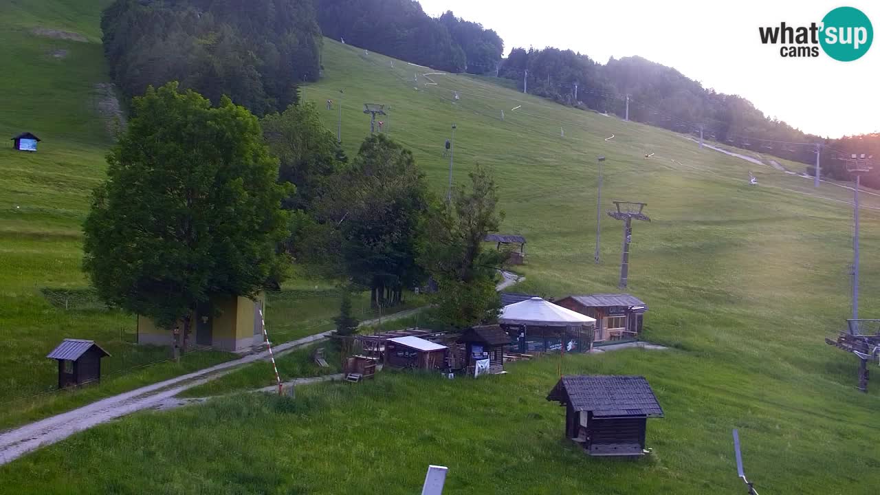 Webcam Kranjska Gora SKI resort | Bech, Kekec, Mojca ski