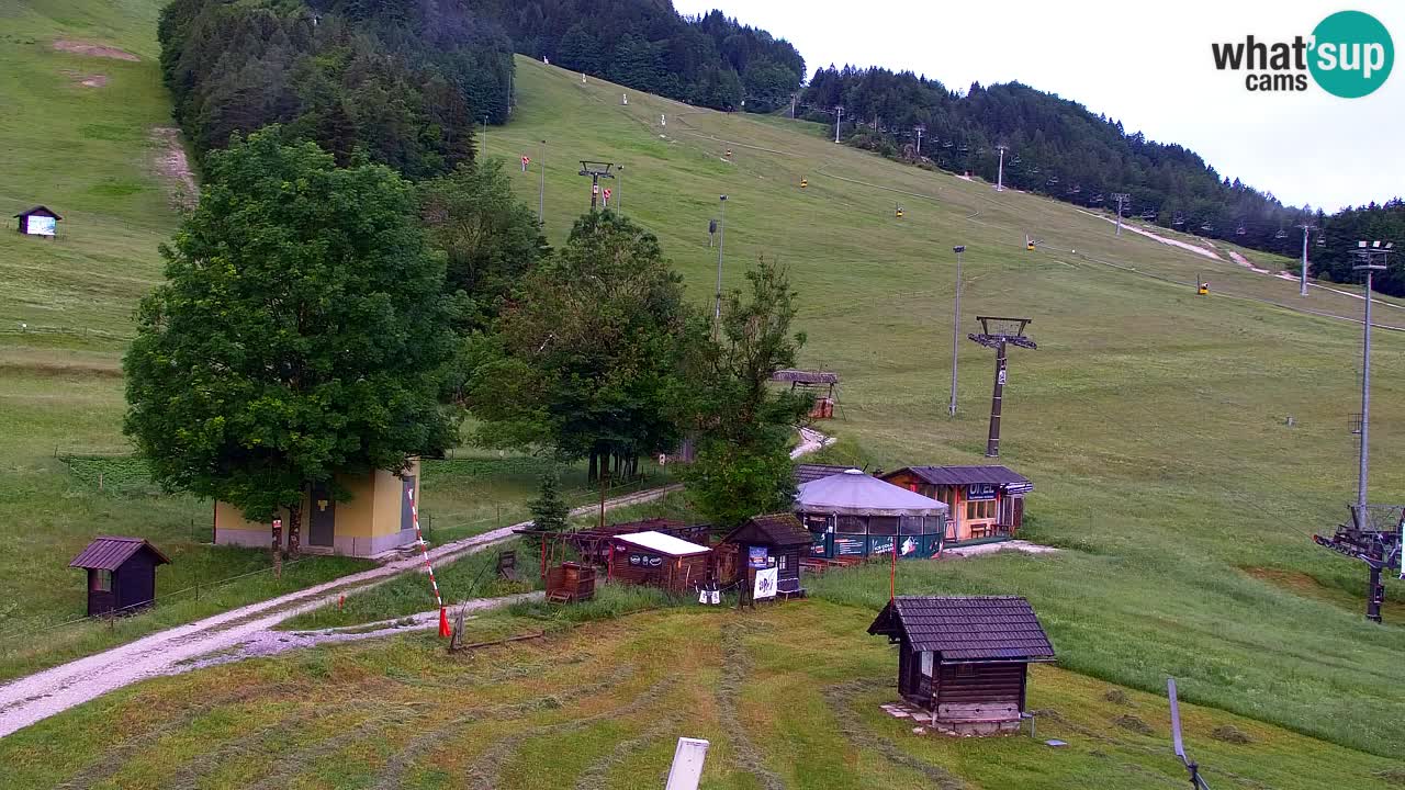 Web kamera Kranjska Gora Skijalište | Proge Mojca in Kekec
