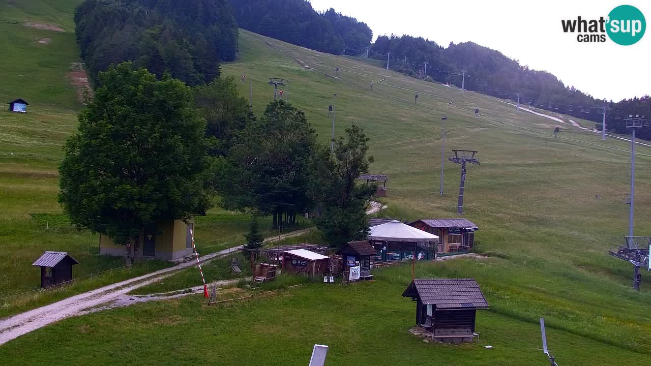 Webcam Kranjska Gora SKI resort | Bech, Kekec, Mojca ski