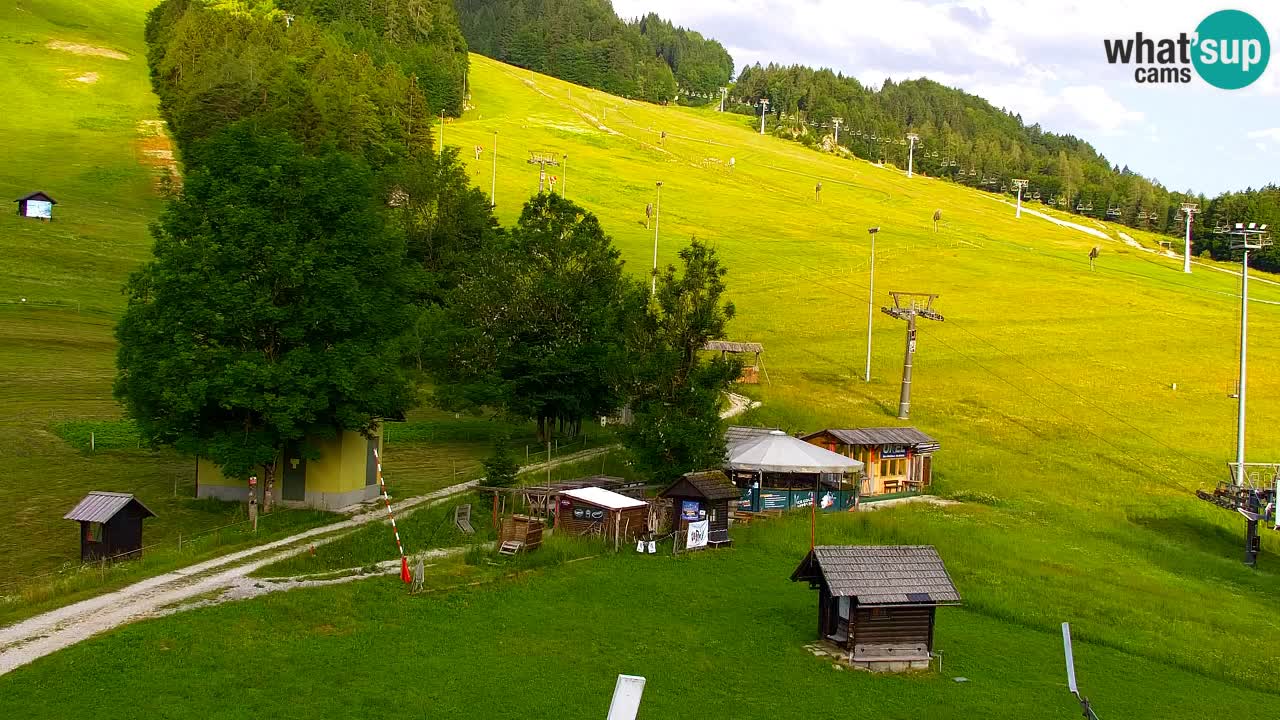 Webcam Estación de esquí Kranjska Gora – Eslovenia