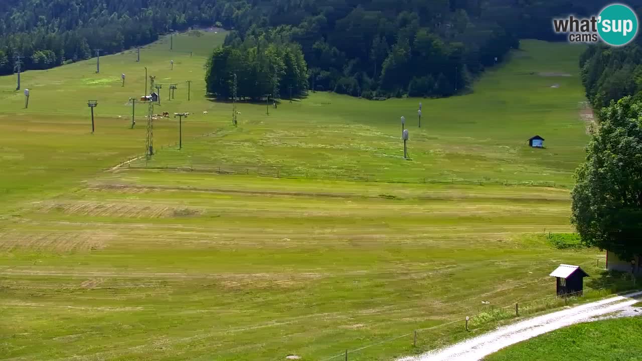 Webcam Station de ski Kranjska Gora – Slovénie