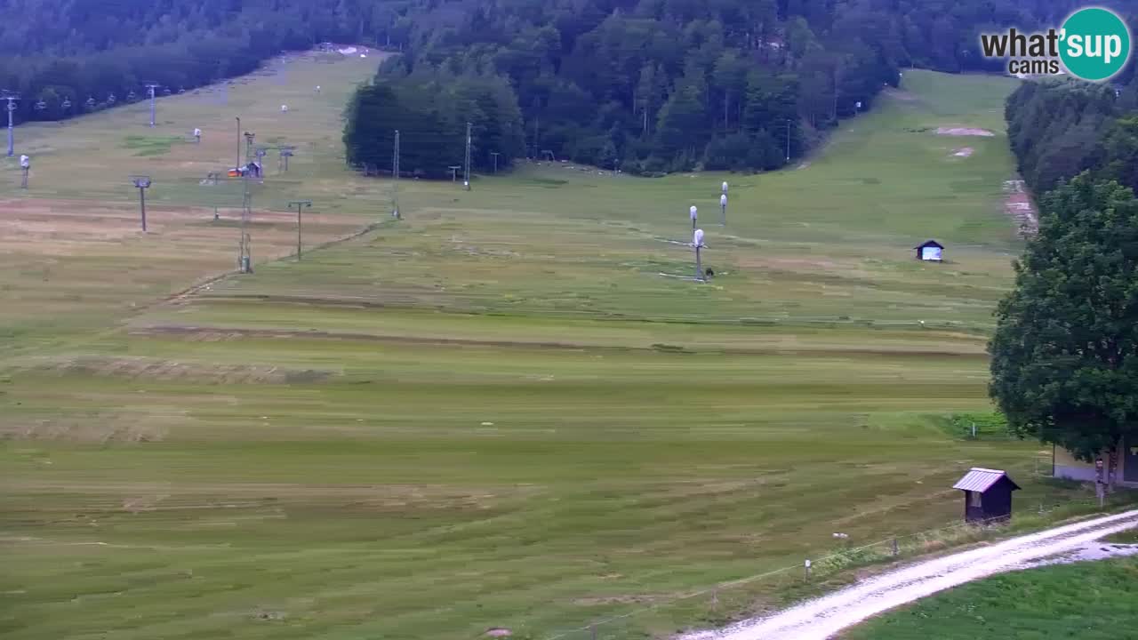 Webcam Kranjska Gora SKI resort | Bech, Kekec, Mojca ski