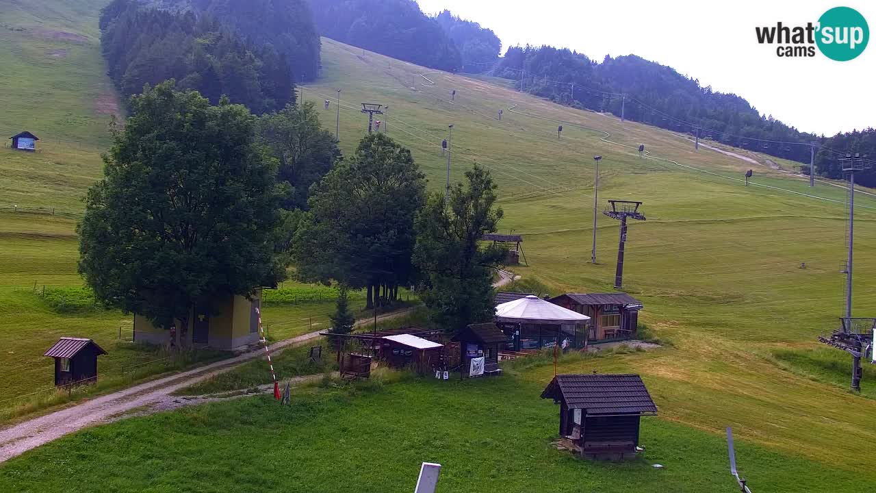 Webcam Kranjska Gora SKI resort | Bech, Kekec, Mojca ski