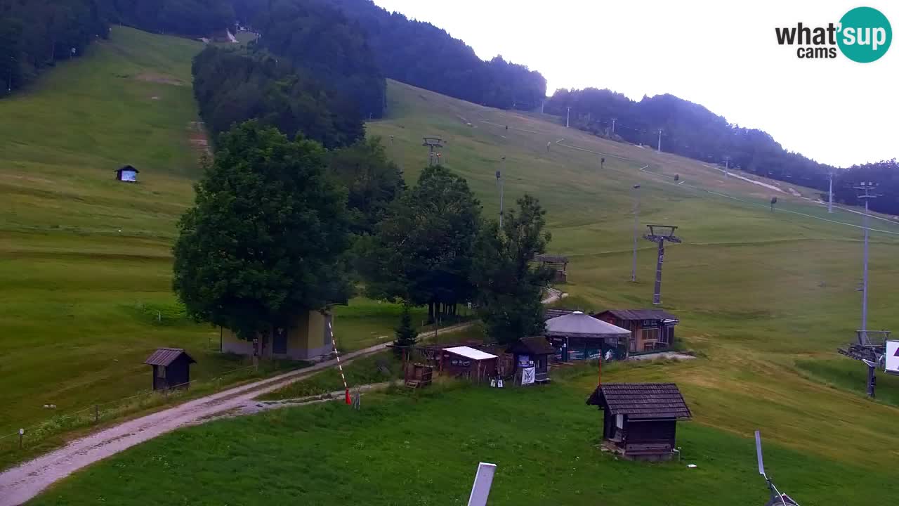 Webcam Kranjska Gora SKI resort | Bech, Kekec, Mojca ski