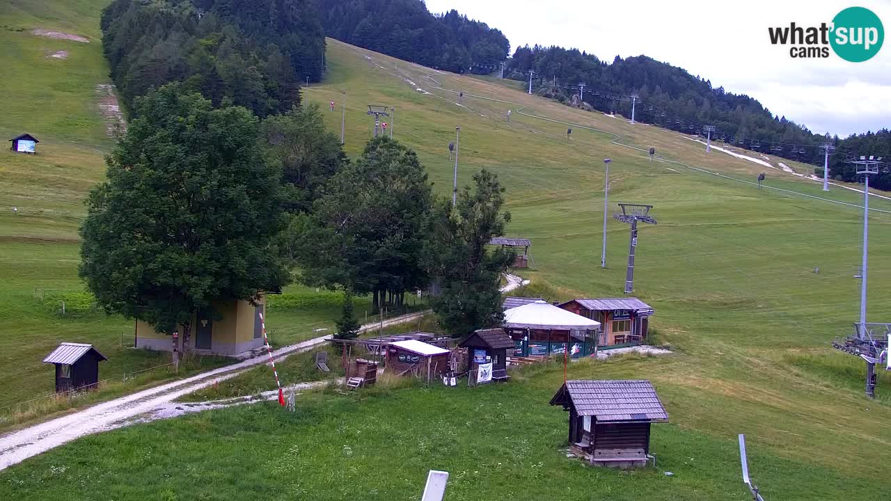 Webcam Kranjska Gora SKI resort | Bech, Kekec, Mojca ski