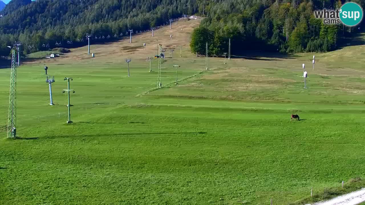 Webcam Kranjska Gora SKI resort | Bech, Kekec, Mojca ski