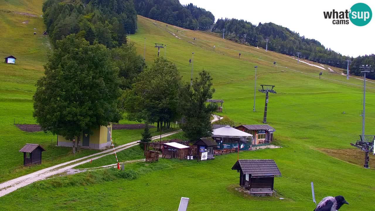 Webcam Kranjska Gora SKI resort | Bech, Kekec, Mojca ski