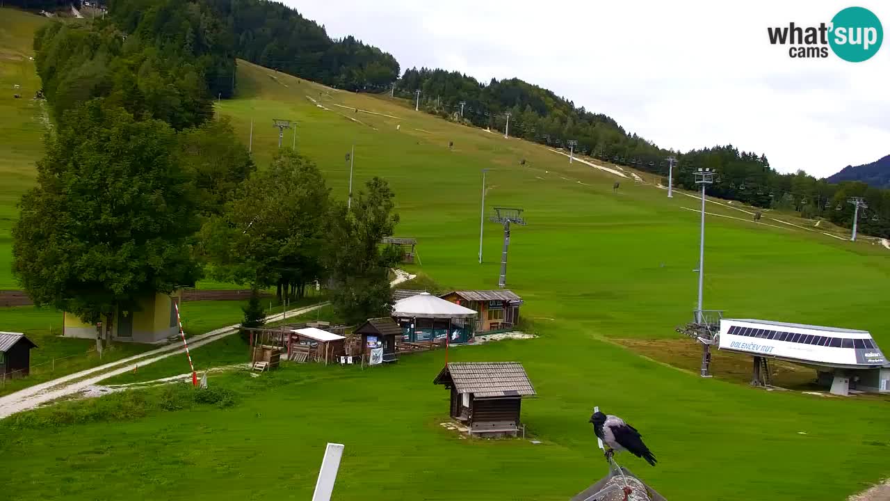 Webcam Kranjska Gora SKI resort | Bech, Kekec, Mojca ski