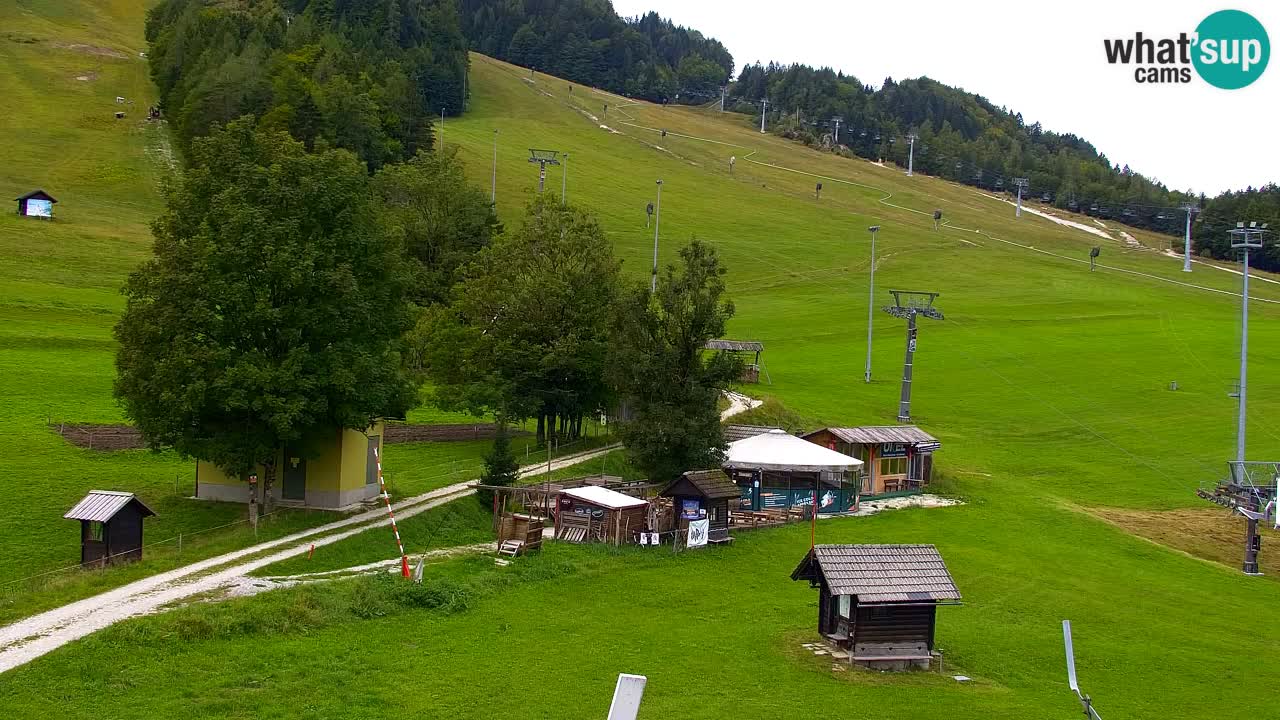 Webcam Kranjska Gora SKI resort | Bech, Kekec, Mojca ski