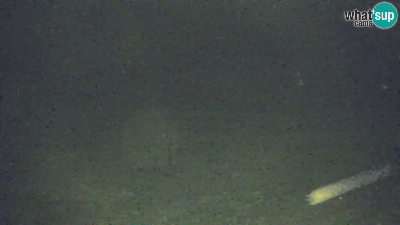 Webcam Kranjska Gora SKI resort | Bech, Kekec, Mojca ski