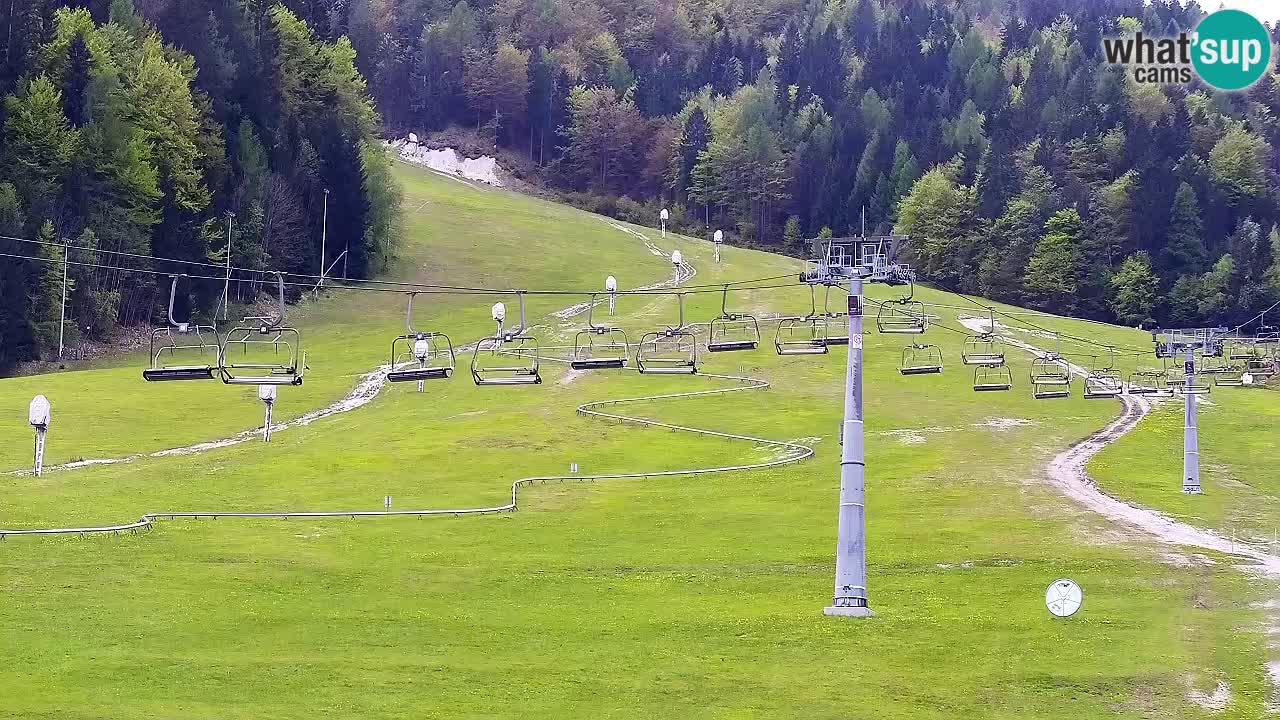 LIVE kamera SKI Kranjska Gora – Vitranc – Slovenija