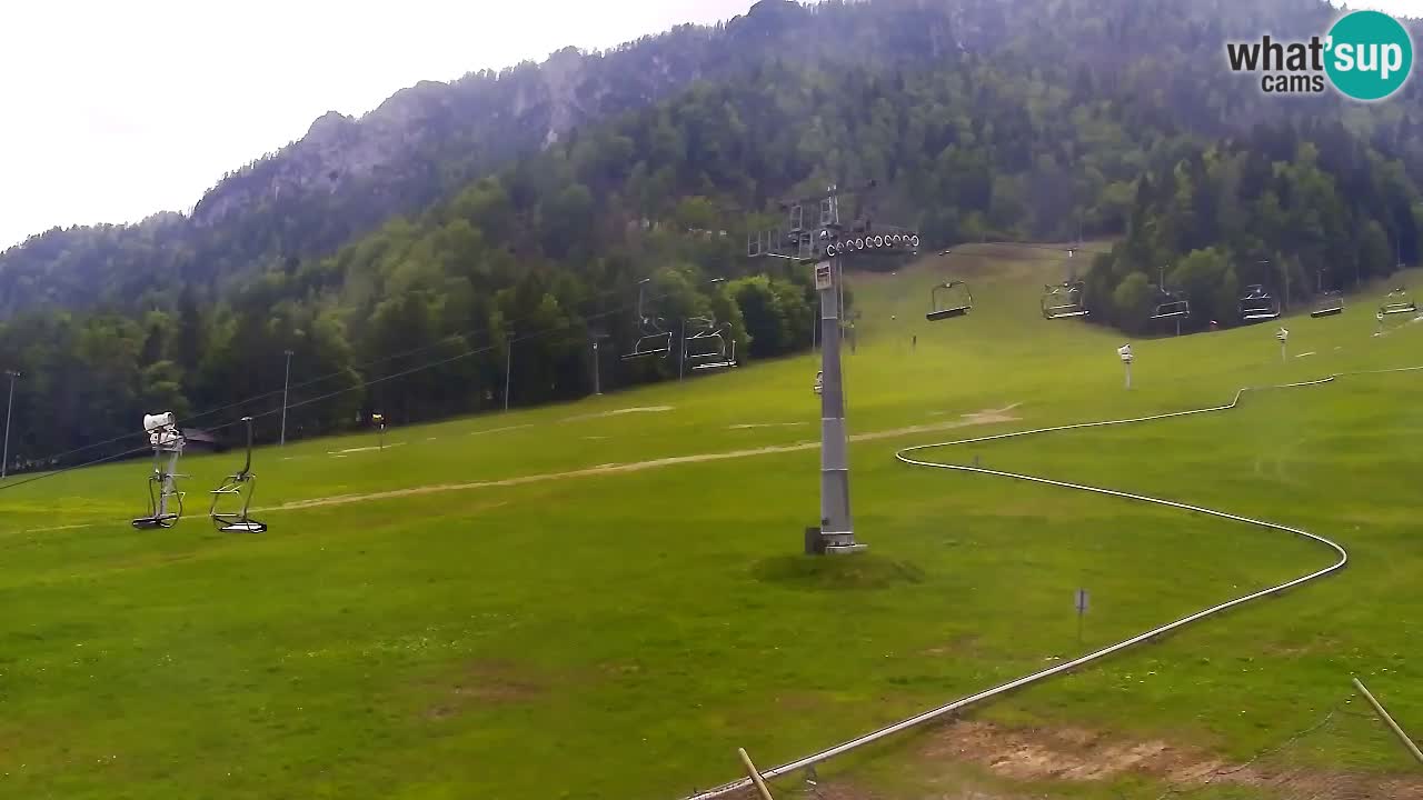 LIVE-Kamera SKI Kranjska Gora – Vitranc – Slowenien
