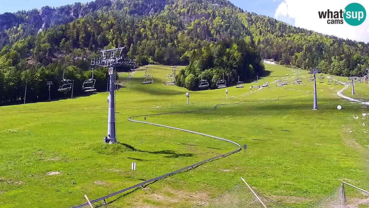 Kranjska Gora Live Cam Vitranc 1 | SKI Resort
