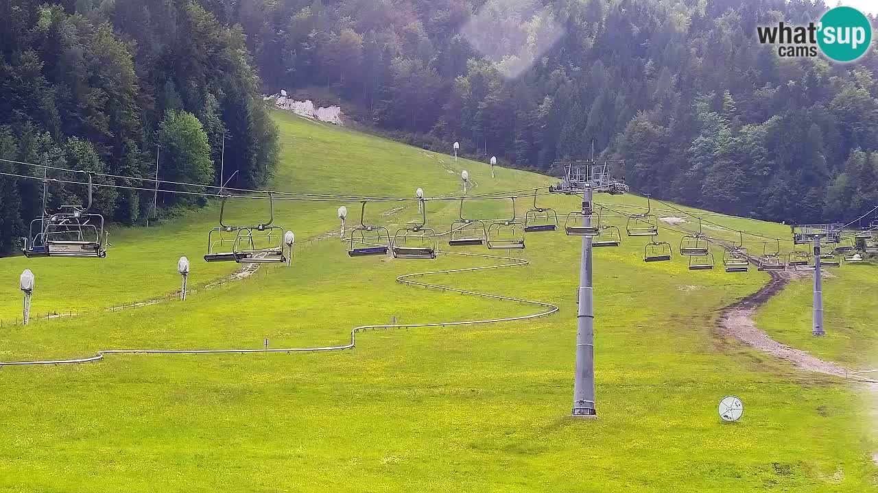 Smučarska proga Vitranc 1 Spletna kamera Kranjska Gora