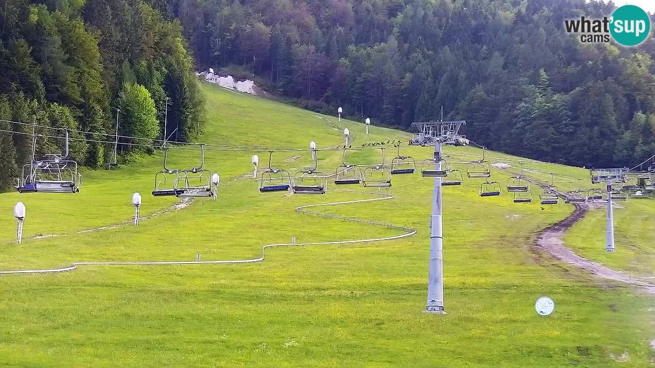 Webcam Kranjska Gora Vitranc | Smučarska proga Vitranc 1