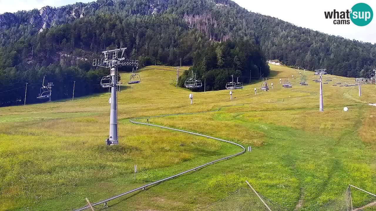 LIVE cam SKI Kranjska Gora – Vitranc – Poletno sankanje Furious Pehta