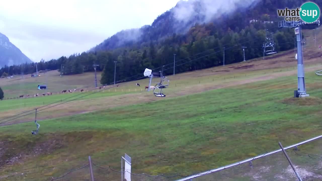 Webcam Kranjska Gora Vitranc | Smučarska proga Vitranc 1