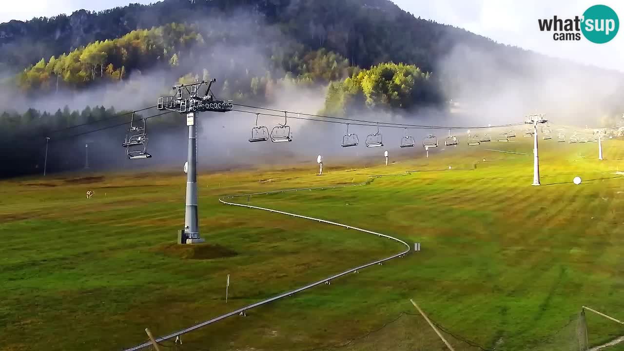 LIVE cam SKI Kranjska Gora – Vitranc – Poletno sankanje Furious Pehta