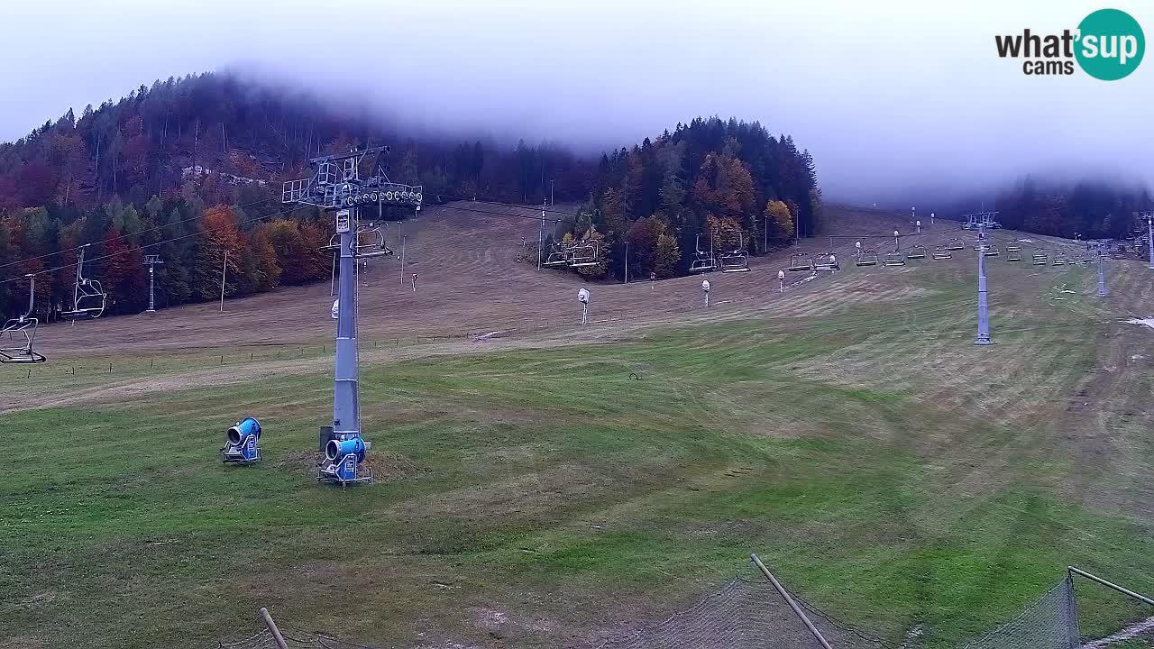 Webcam Kranjska Gora Vitranc | Smučarska proga Vitranc 1