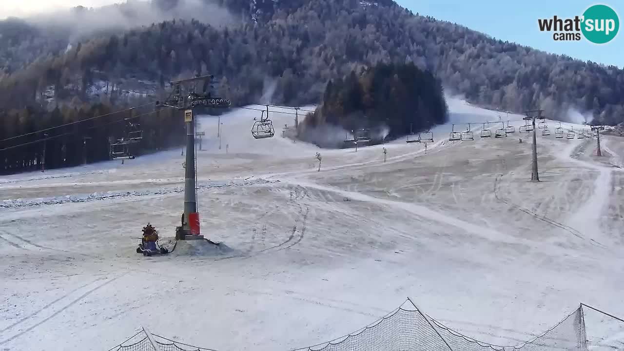 Webcam Kranjska Gora Vitranc | Smučarska proga Vitranc 1