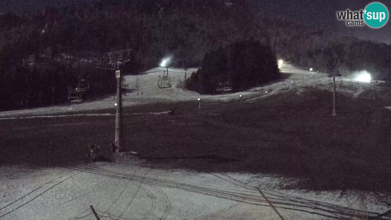 Webcam Kranjska Gora Vitranc | Smučarska proga Vitranc 1