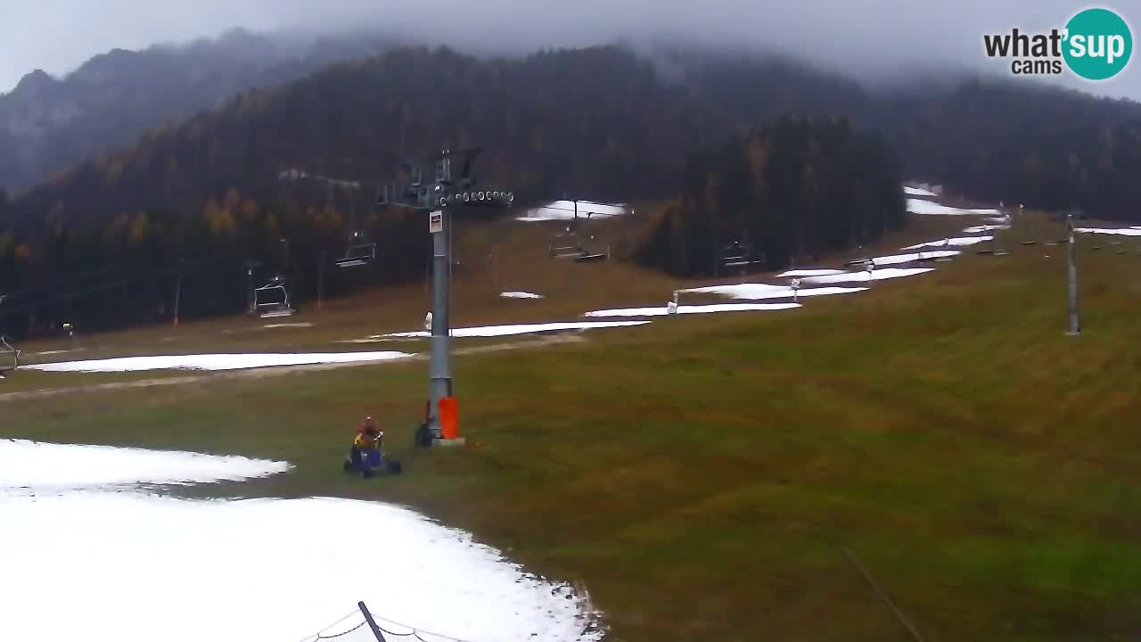 Webcam Kranjska Gora Vitranc | Smučarska proga Vitranc 1