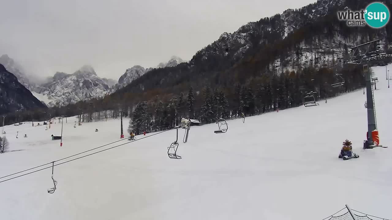 Webcam Kranjska Gora Vitranc | Smučarska proga Vitranc 1